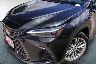 2023 Lexus NX 350 Luxury