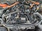 2025 Toyota Tacoma 4WD TRD Sport Hybrid