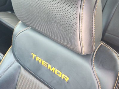 2021 Ford F-150 Tremor