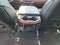 2024 RAM 1500 Longhorn 4x4 Crew Cab 5'7" Box