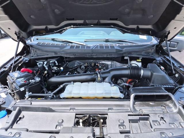 2024 Ford F-150 XLT 4WD SuperCrew 5.5' Box