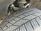 2022 GMC Sierra 1500 Crew Cab Short Box 4-Wheel Drive Denali
