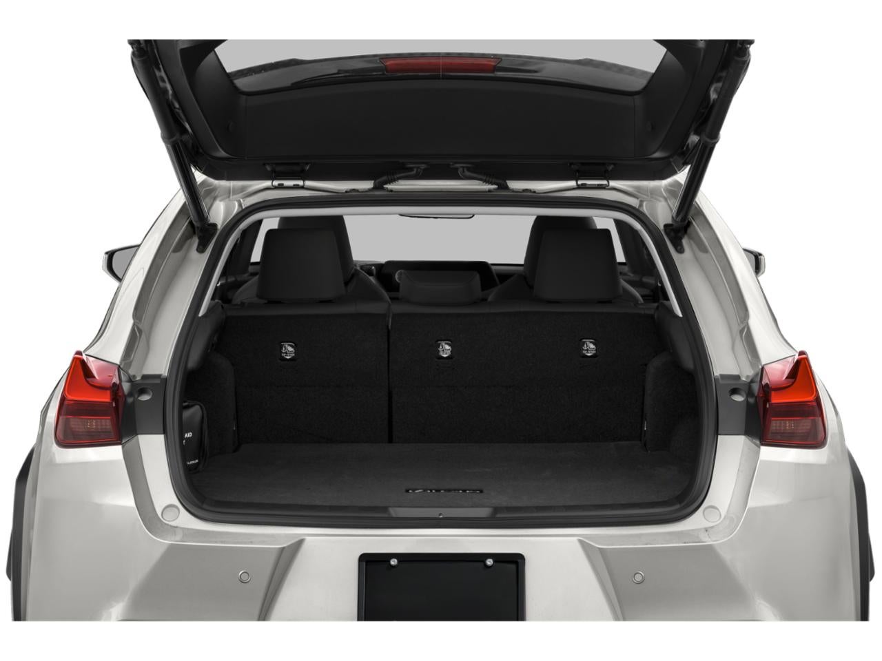 2021 Lexus UX 250h AWD