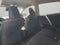 2017 Toyota RAV4 LE FWD (GS)